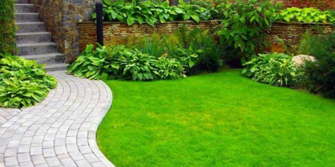 Jak udělat trávník: druhy, příprava, přistání, péče